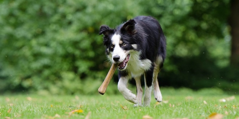 Nuovo servizio in città