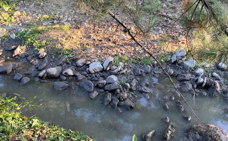 La moria di pesci e l'onda nera nel Rincine