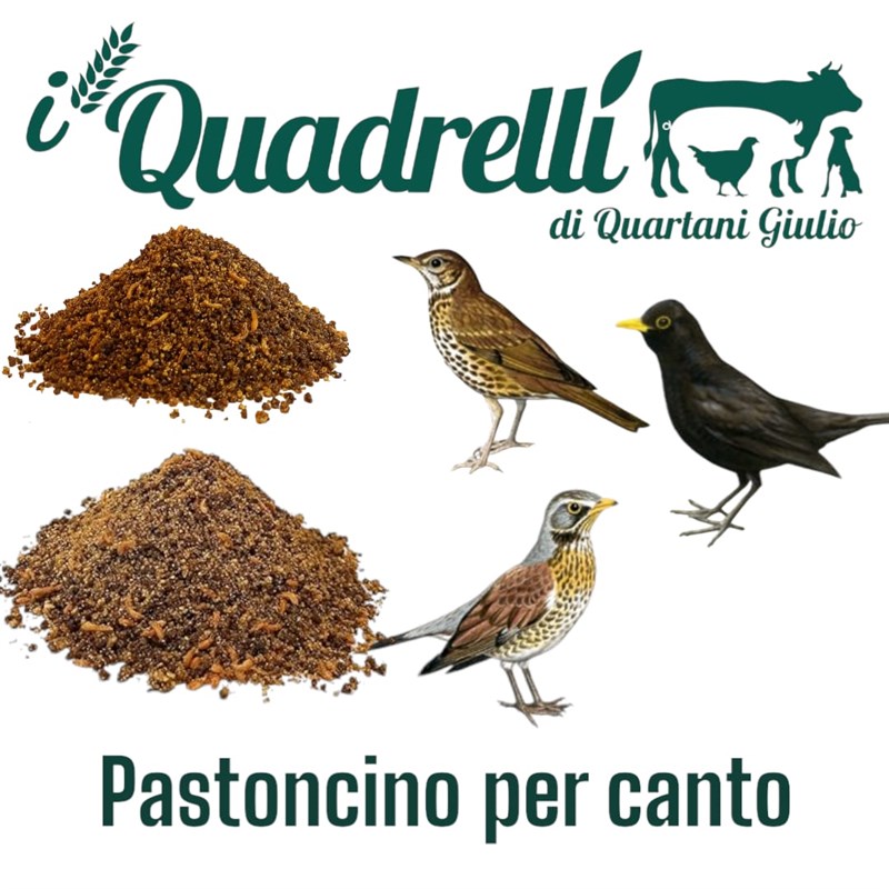 Pastoncino per canto