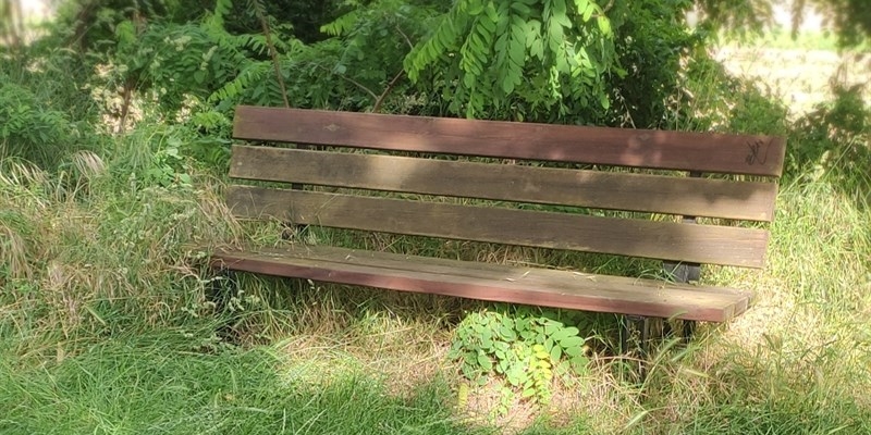 Taglio erba - Ronta dimenticata - La segnalazione 