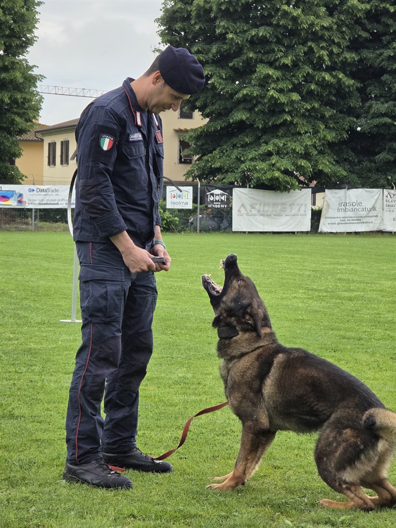 Unità Cinofile Carabinieri