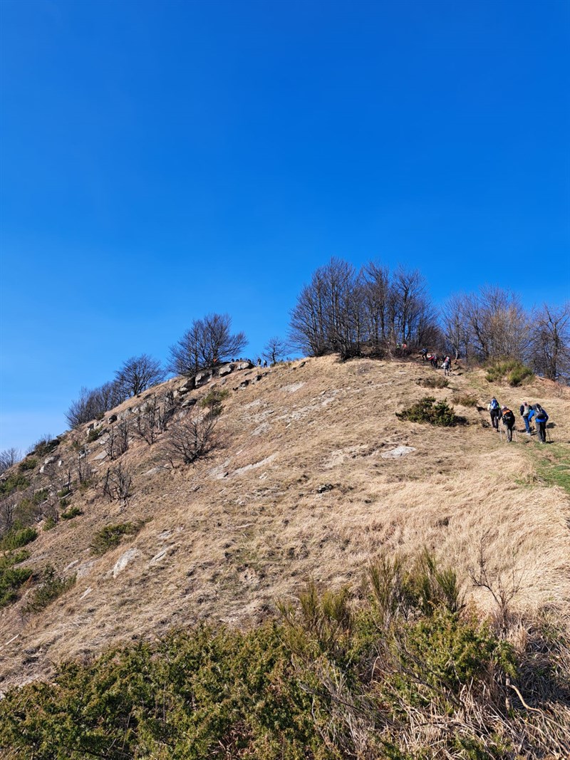 Le foto della giornata