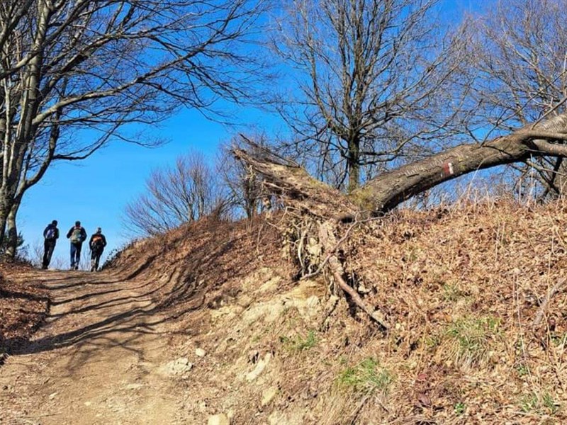 Le foto della giornata
