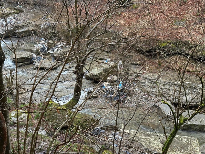 Discarica nascosta lungo il fiume Rovigo, consigliera Noferi in sopralluogo