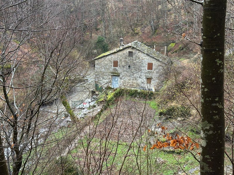 Discarica nascosta lungo il fiume Rovigo, consigliera Noferi in sopralluogo