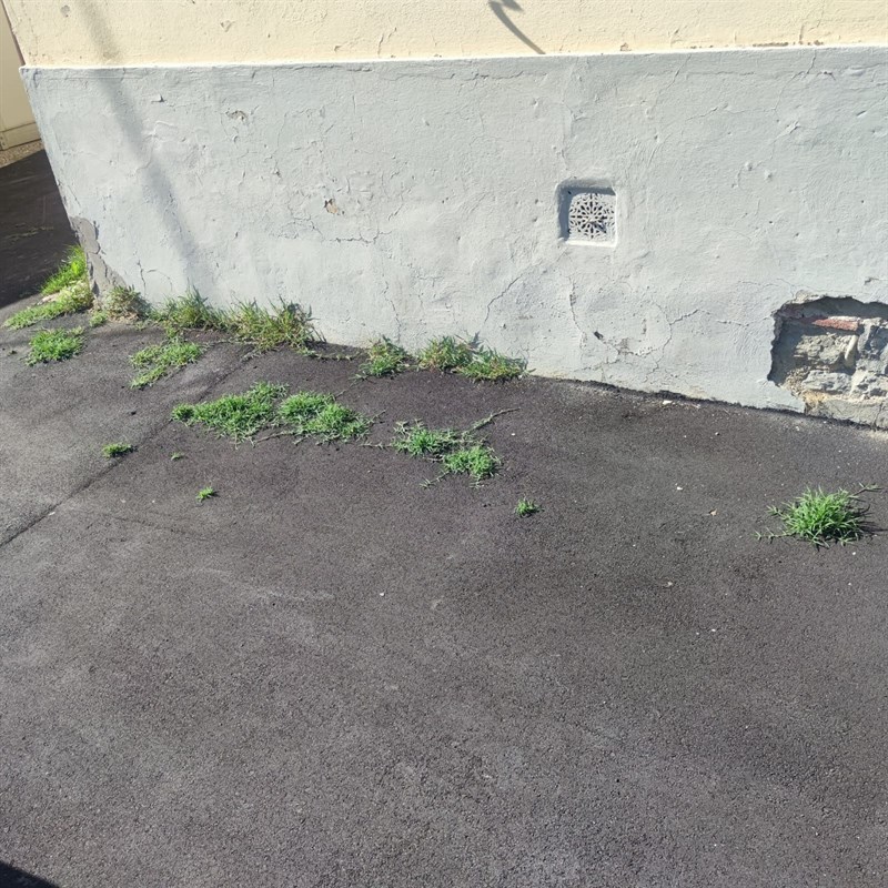 La situazione al Romanelli