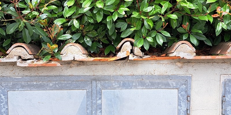 Via della Tintoria - Taglio erba con danni. Chi paga?