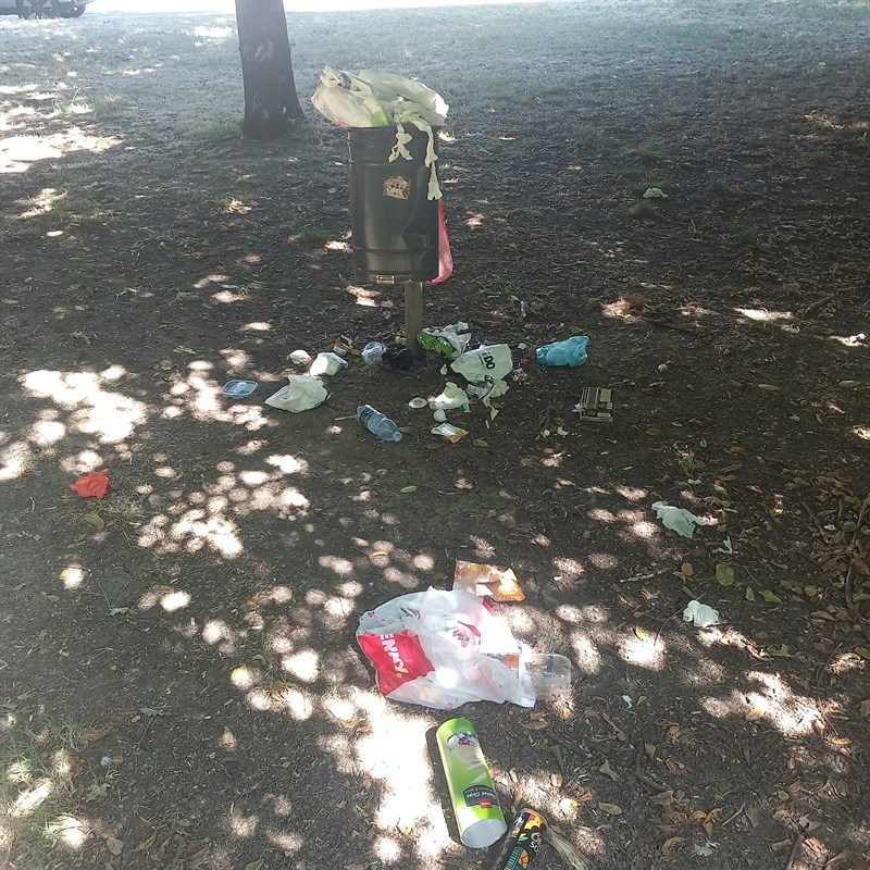 La situazione di stamani mattina al Parco Pertini