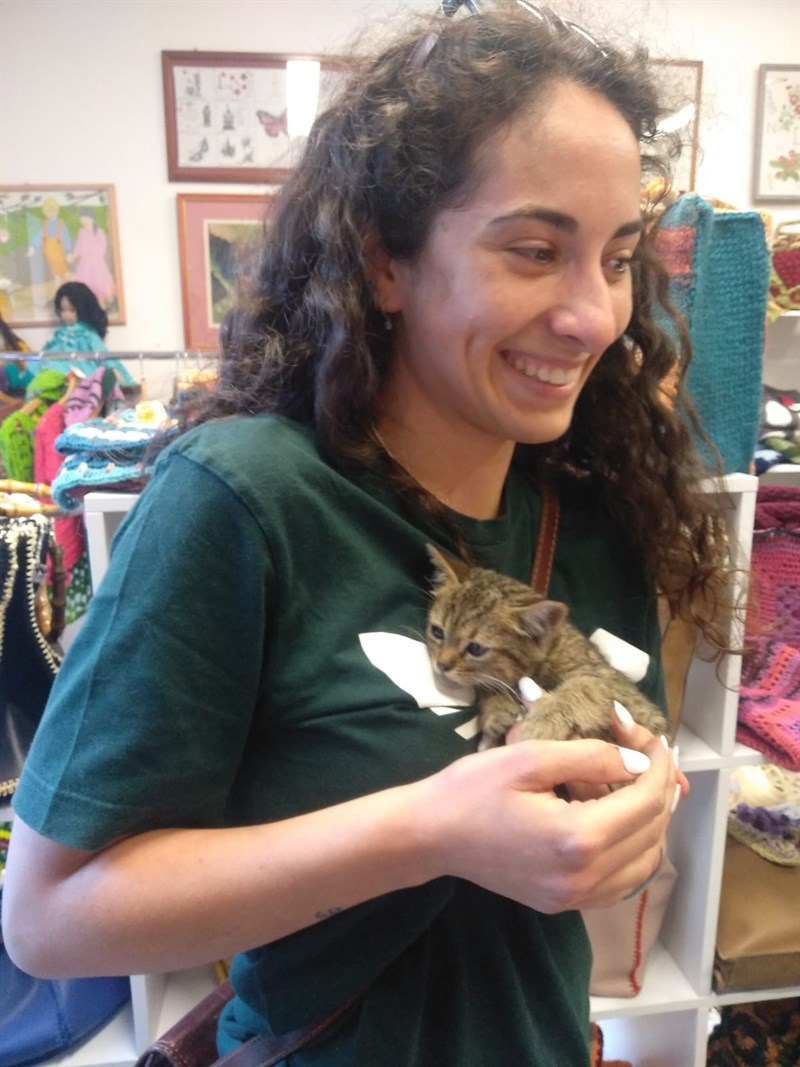 Twingo, la gattina salvata a Pontassieve insieme alla sua nuova proprietaria Martina