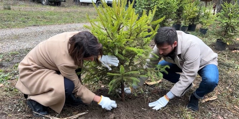 Piantumazione abete  all’interno del Parco Nazionale delle Foreste Casentinesi