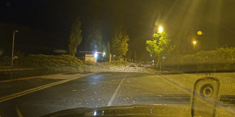 l’albero caduto in via Nilde Iotti a San Piero