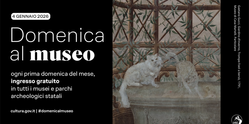 Domenica Museo