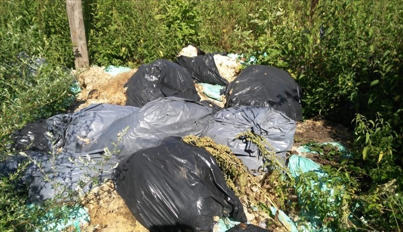 Fagna. 30 sacconi di lana tosata abbandonati. Due denunciati