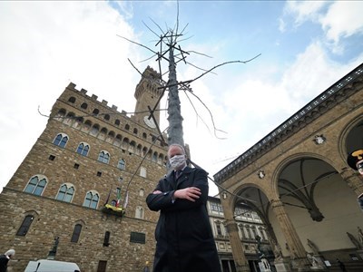 Il direttore degli Uffizi davanti all'albero