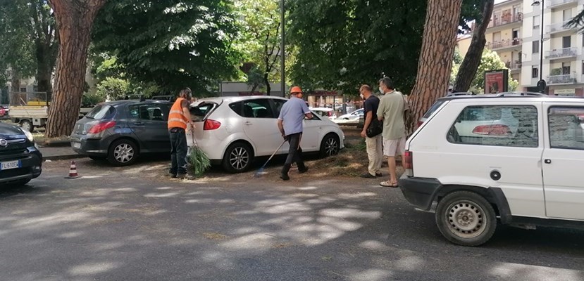 L'auto distrutta dal grande ramo