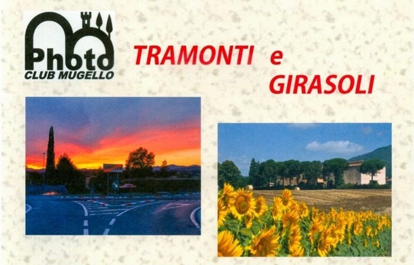 Tramonti e Girasoli