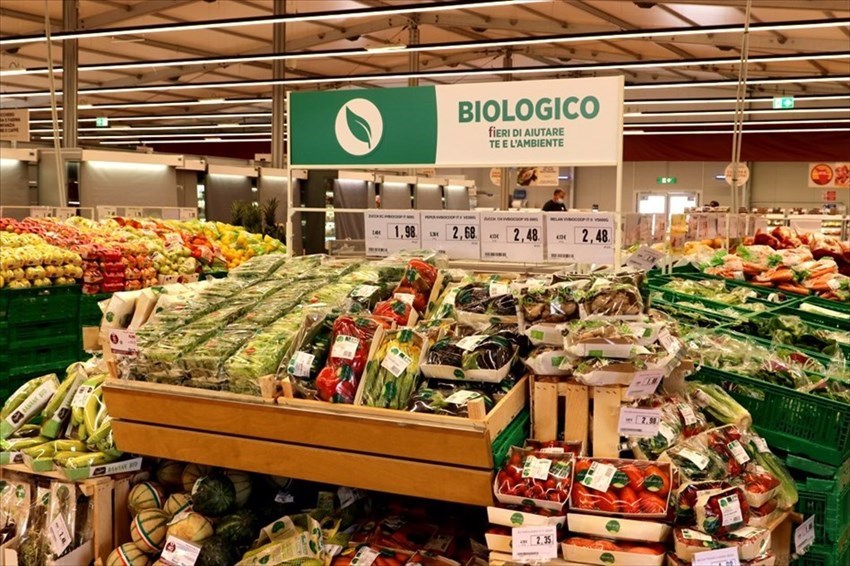 Il nuovo negozio temporaneo.