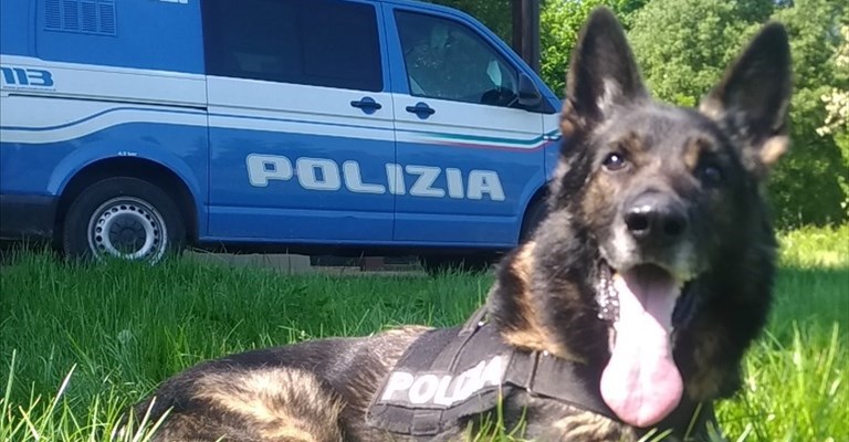 Amper va in pensione