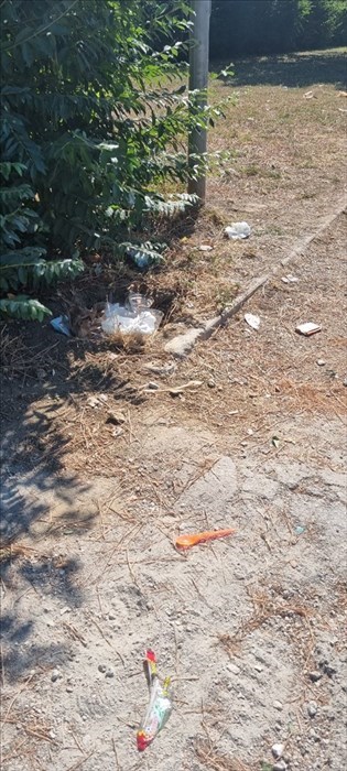 Rifiuti e bottiglie ai giardini di Via Calamandrei a Borgo