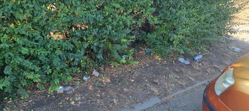 Rifiuti e bottiglie ai giardini di Via Calamandrei a Borgo