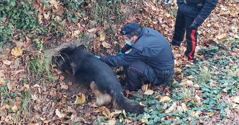 Batman all'opera alle Cascine