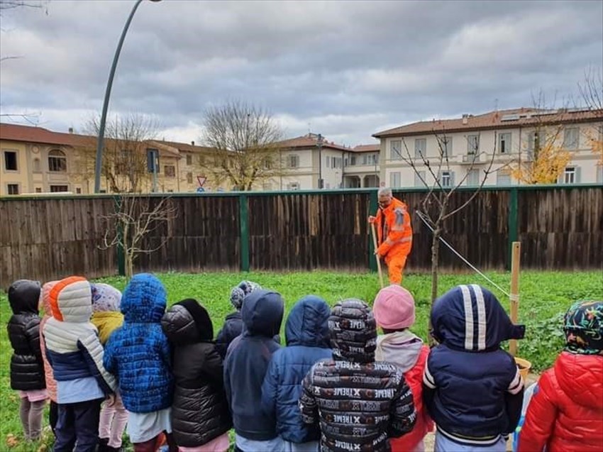 La festa dell'albero