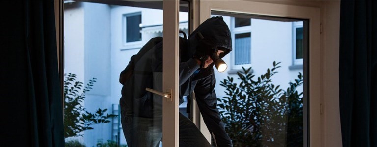 Ladro in casa