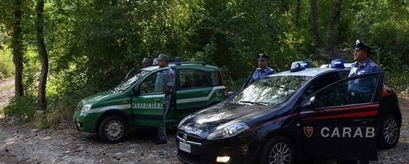 Carabinieri e Carabinieri Forestali. Foto di repertorio