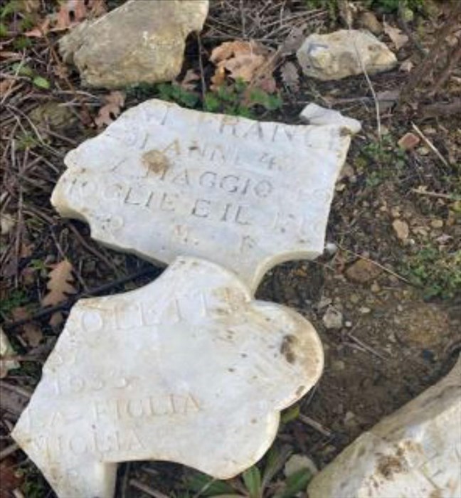 la macabra scoperta nel bosco accanto al cimitero di Trespiano