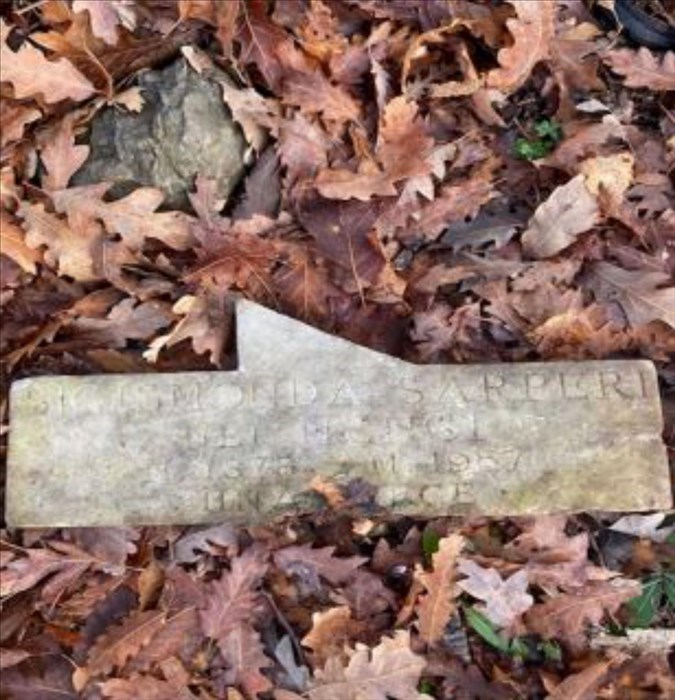 la macabra scoperta nel bosco accanto al cimitero di Trespiano