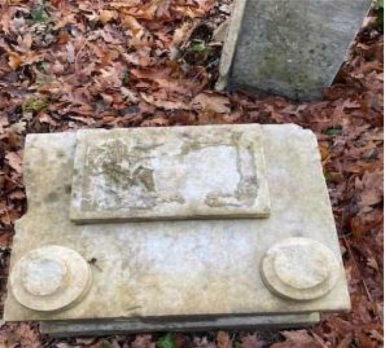 la macabra scoperta nel bosco accanto al cimitero di Trespiano