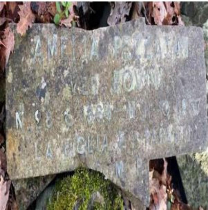 la macabra scoperta nel bosco accanto al cimitero di Trespiano