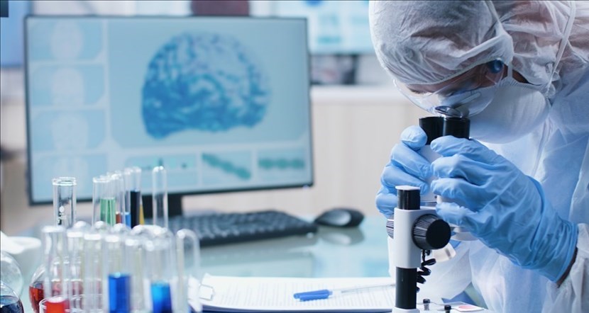 Airalzh. Dall'associazione di Barberino 200mila dollari (con Armenise Harvard) per ricercatori