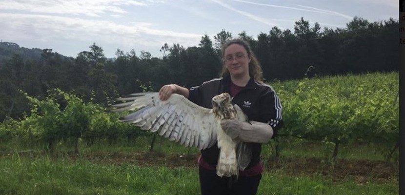 Allarme chiusura servizi per il Centro Recupero Rapaci di Vicchio: "Non arrivano fondi dai Comuni"