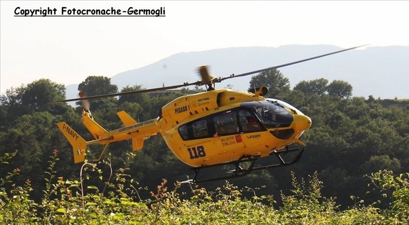 Pegaso. Foto di repertorio