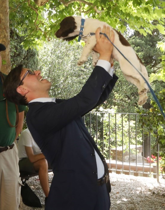 i nuovi cani antidroga