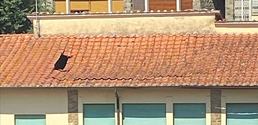 Fiesole, cede parte del tetto della scuola di Borgunto. Pericolo sottovalutato?