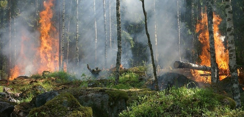 Incendio. Foto di repertorio