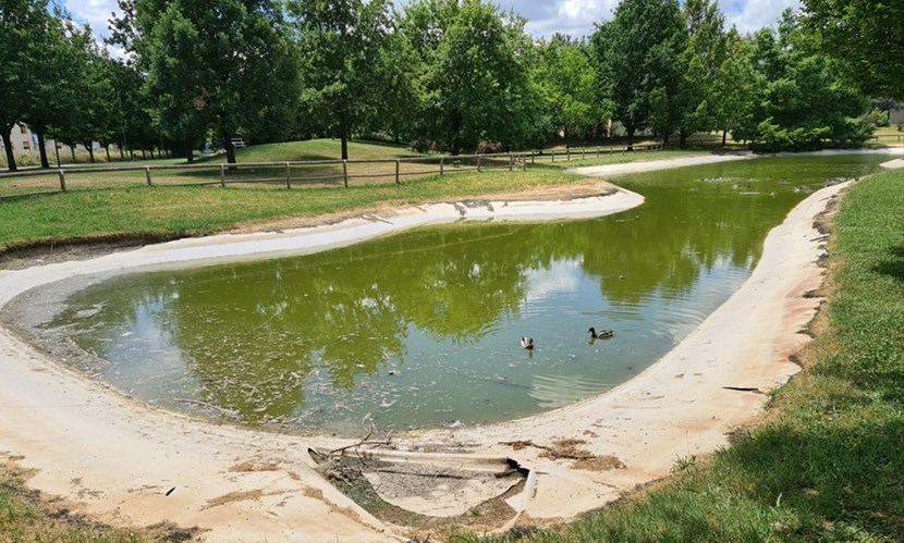 Il laghetto del parco Pertini prima di essere svuotato