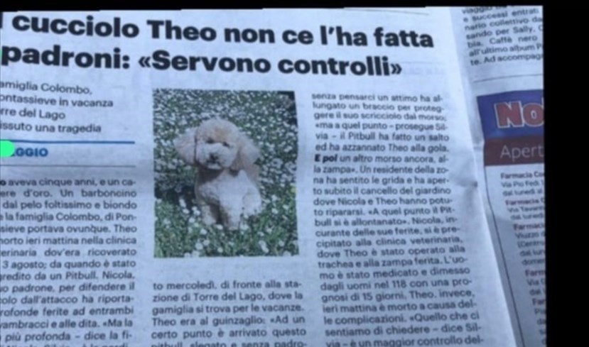 La storia di Theo oggi su La Nazione