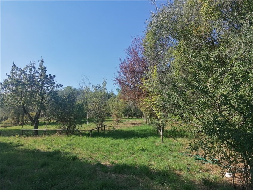 L'area del Pellegrino