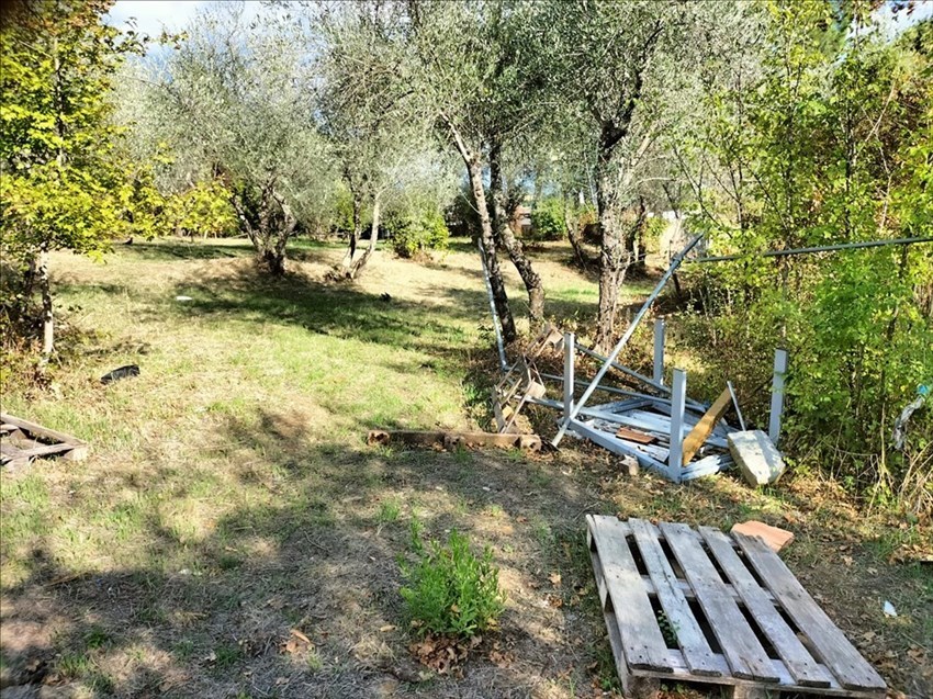 L'area del Pellegrino