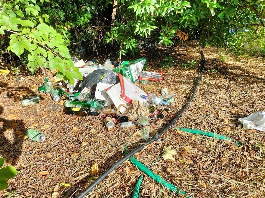 L'area del Pellegrino