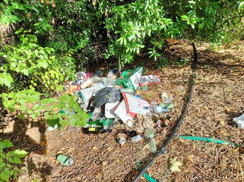 l'area del Pellegrino