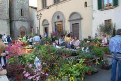 Scarperia. Due fine settimana da non perdere...