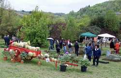 Giorno & Notte. Tutti gli appuntamenti del fine settimana in Mugello... e sono tanti...