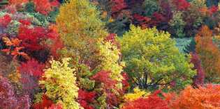 Giorno & Notte. Tutto il fine settimana in Mugello dal 19 al 21 settembre