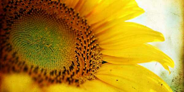 Giorno & Notte. Tutto il fine settimana in Mugello dal 25 al 27 luglio...