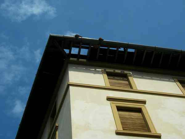 Bomba d'acqua su Firenze. Foto e cronaca...