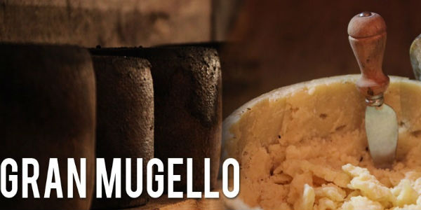 Taglio della prima forma del “Granmugello Ubaldino” produzione 2013.